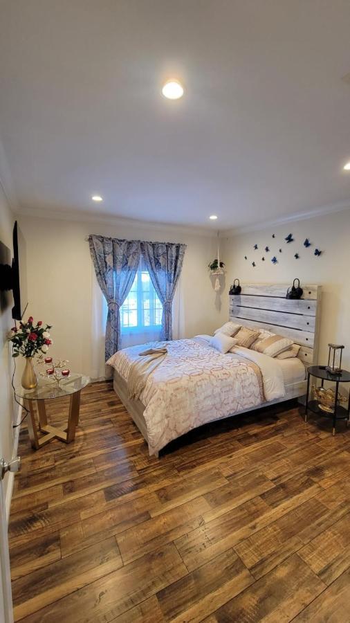 Adorable Modern Guesthouse With Full Kitchen Los Angeles Ngoại thất bức ảnh